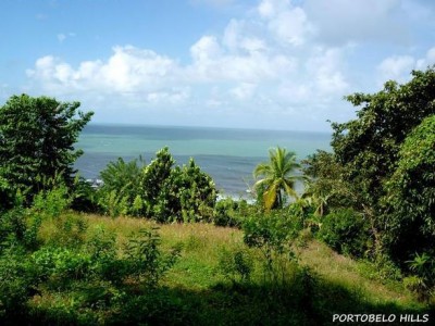 15528 - Portobelo - lots