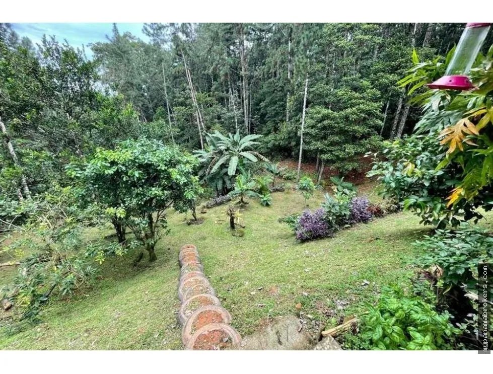 House for Sale in Altos de Cerro Azul