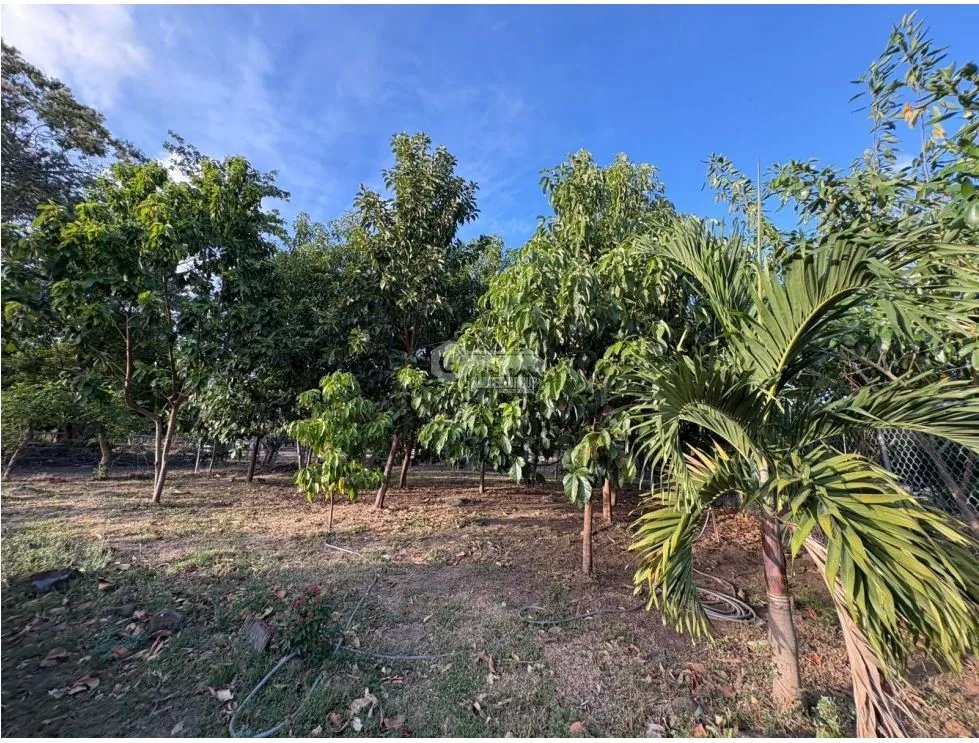 CHAME / LLANO GRANDE / 2 BEDROOMS / 4203M / TWO LEVELS / STORAGE