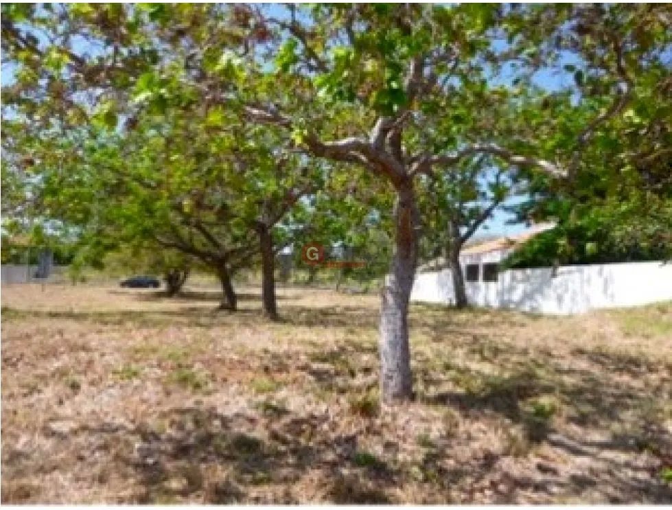 LAND FOR SALE IN CORONADO ALCAZAR PARK 1100 M2 ON PAVED ROAD