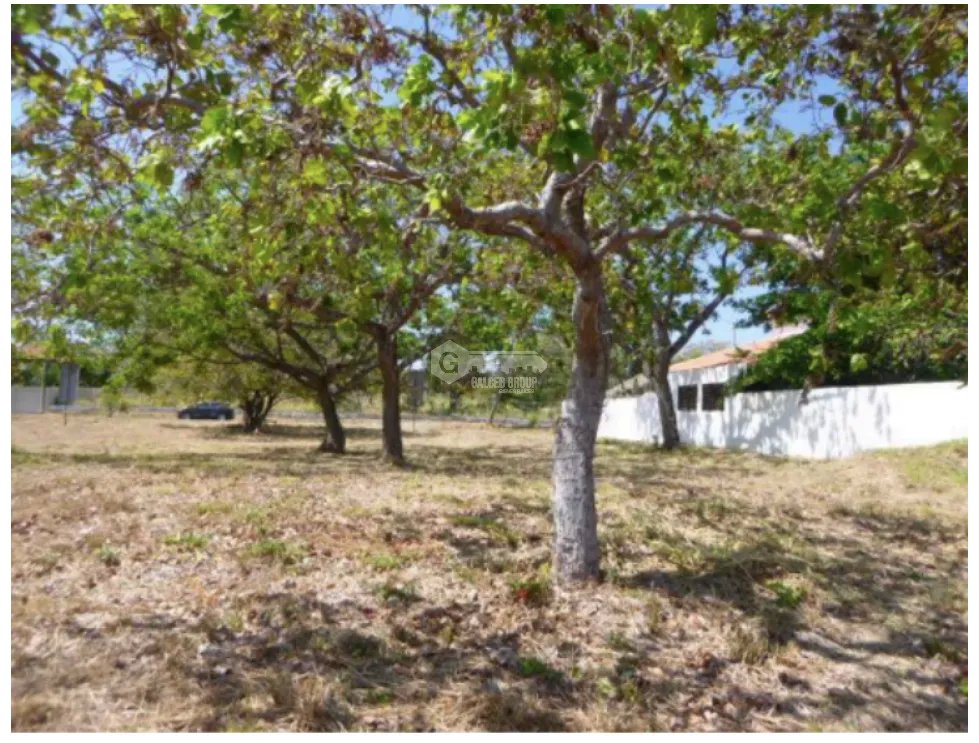 LAND FOR SALE IN CORONADO ALCAZAR PARK 1100 M2 ON PAVED ROAD