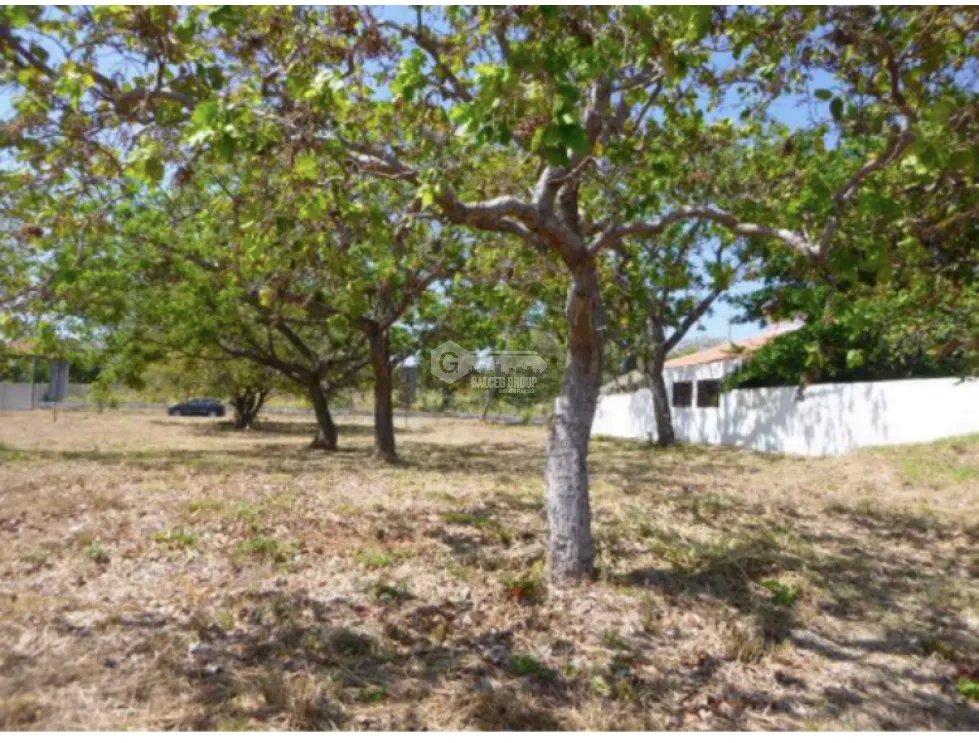 CORONADO / ALCAZAR PARK / 1100 M2 / LAND / ON PAVED ROAD