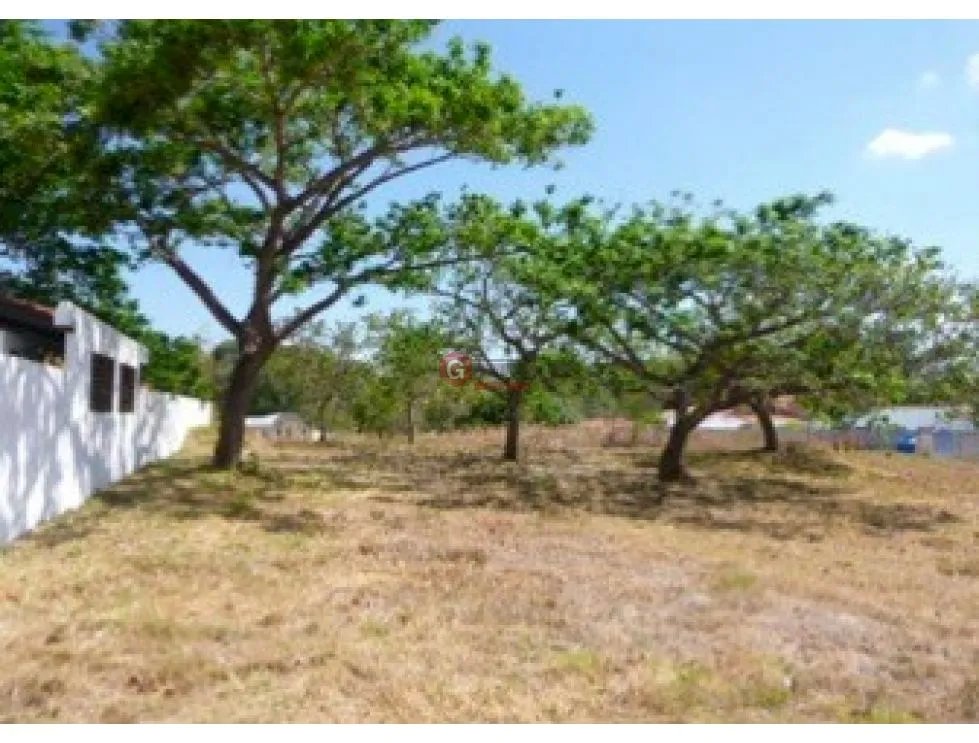 CORONADO / ALCAZAR PARK / 1100 M2 / TERRENO / SOBRE VIA ASFALTADA