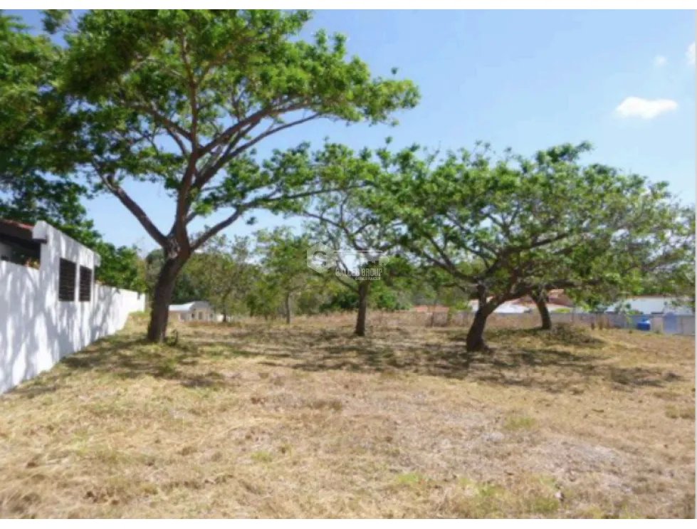 CORONADO / ALCAZAR PARK / 1100 M2 / TERRENO / SOBRE VIA ASFALTADA