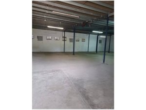 Alquiler de Galera industrial en Carrasquilla | 600m2