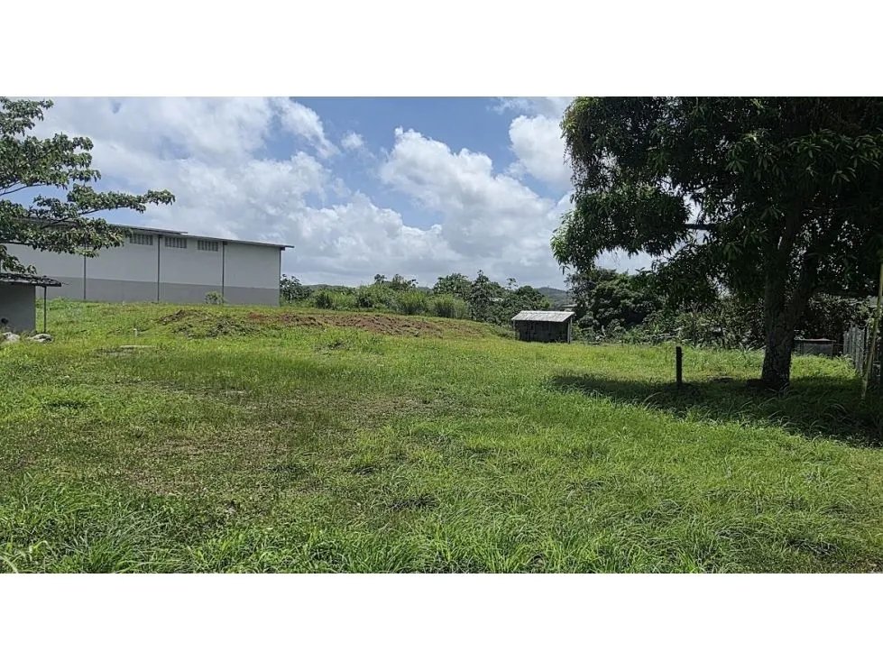 Warehouse for rent in Arraijan