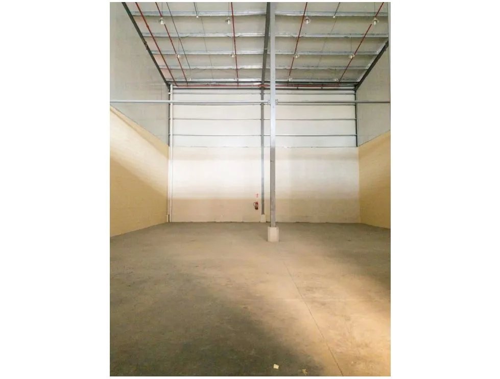 Galera en Alquiler en Vía Tocumen – 460 m²