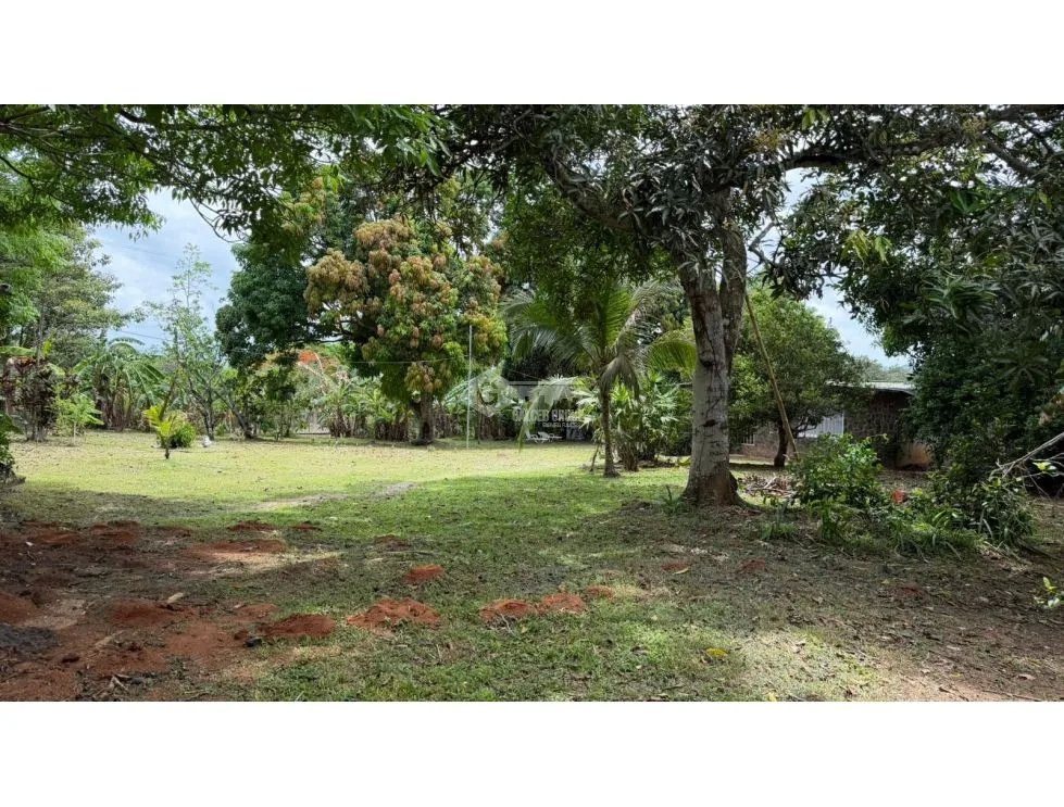 HOUSE FOR SALE WITH LARGE 2,612 M² LAND IN CAPIRA WITH 2 TERRACES