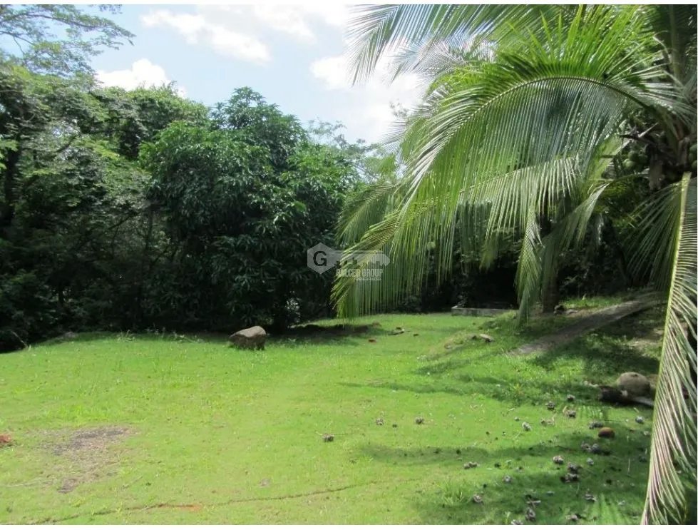 House for Sale in Cocle Las Minas - 10,705 M2 with Natural Surroundings