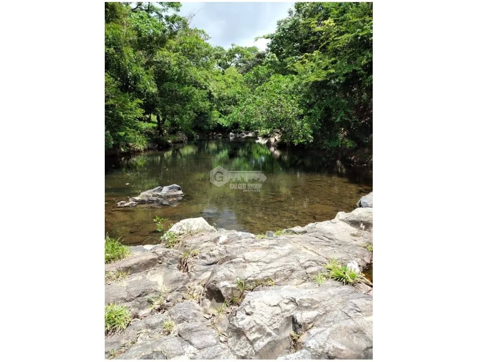 House for Sale in Cocle Las Minas - 10,705 M2 with Natural Surroundings