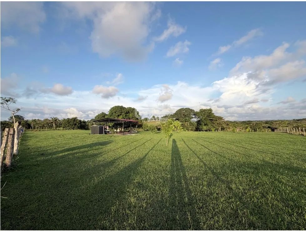 LAND FOR SALE IN LAGO GATUN 6944 M2 WITH GREEN AREAS AND COOL CLIMATE