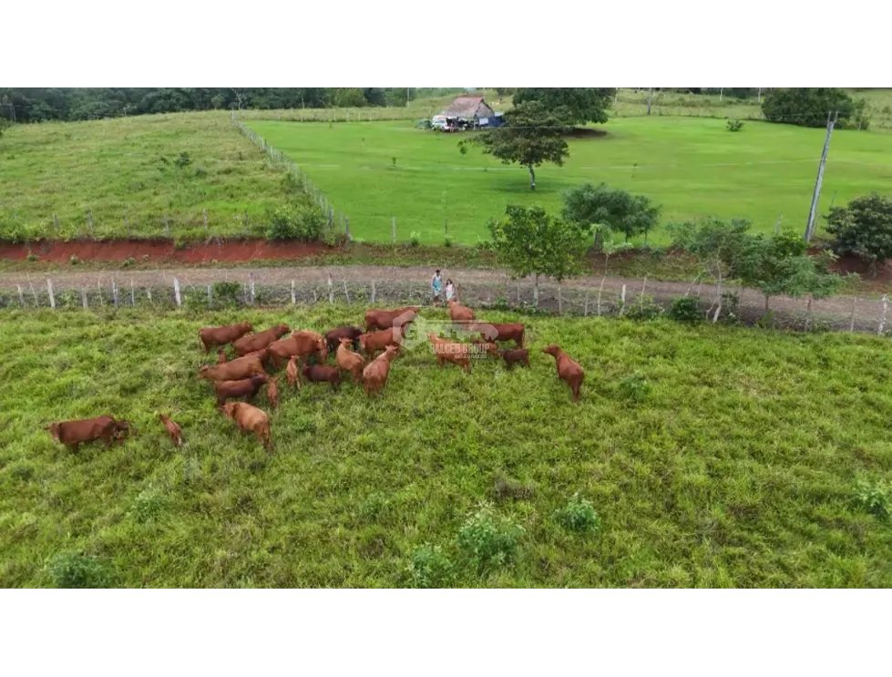 LA ARENOSA / LAGO GATUN / 6944 M2 / ESTATE / GREEN AREAS / FLAT LAND
