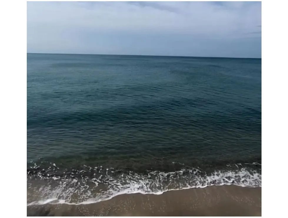 Sale of 5,000 m² Beach Land with Operating Business in Farallón, Cod-J220