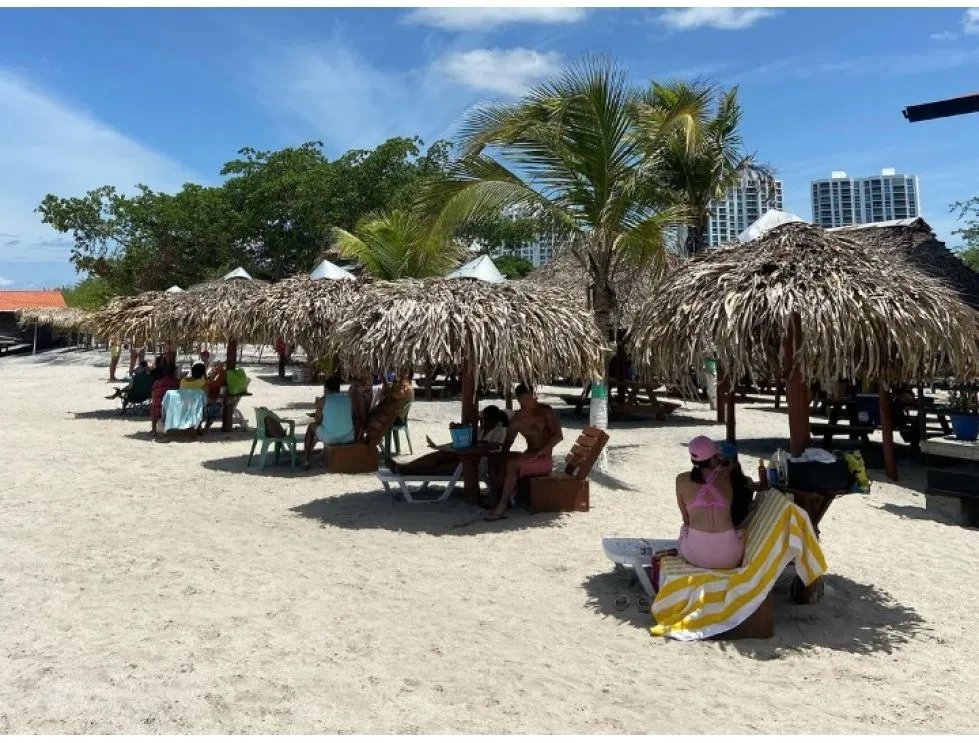 Sale of 5,000 m² Beach Land with Operating Business in Farallón, Cod-J220