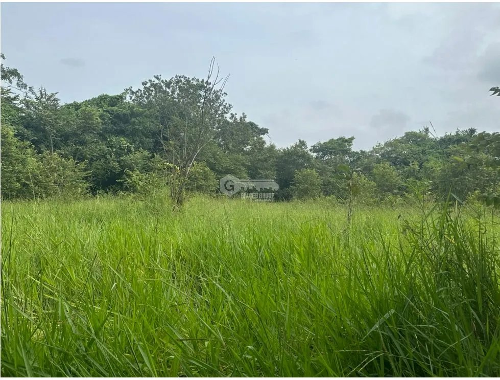 SE VENDE AMPLIO TERRENO EN  PACORA 53,000M SEMIPLANO CON POTENCIAL