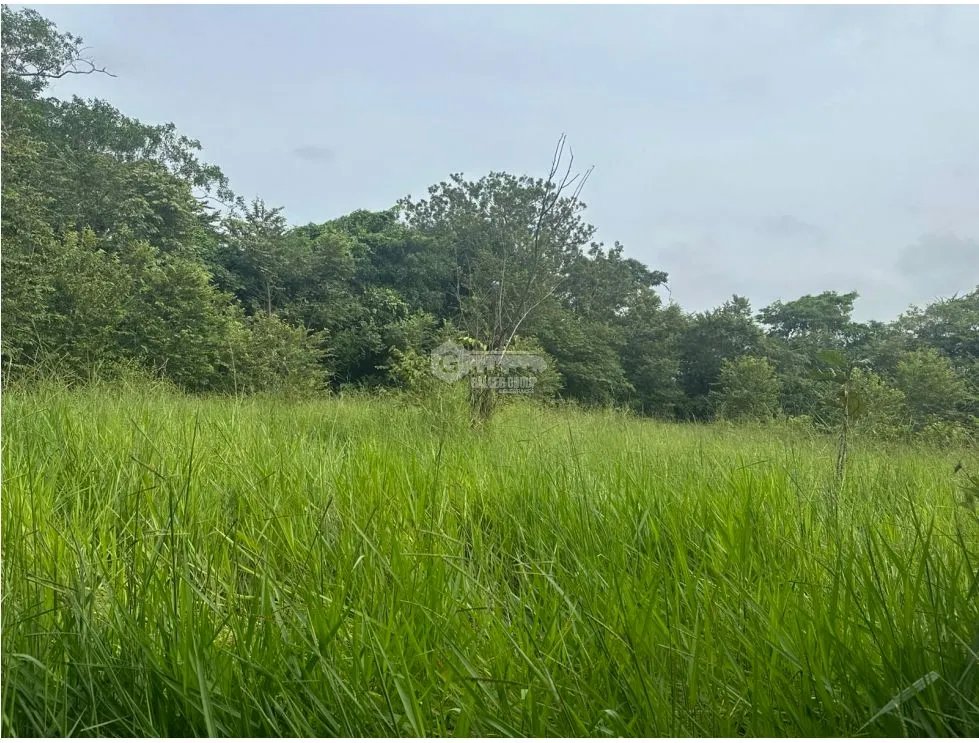 SE VENDE AMPLIO TERRENO EN  PACORA 53,000M SEMIPLANO CON POTENCIAL