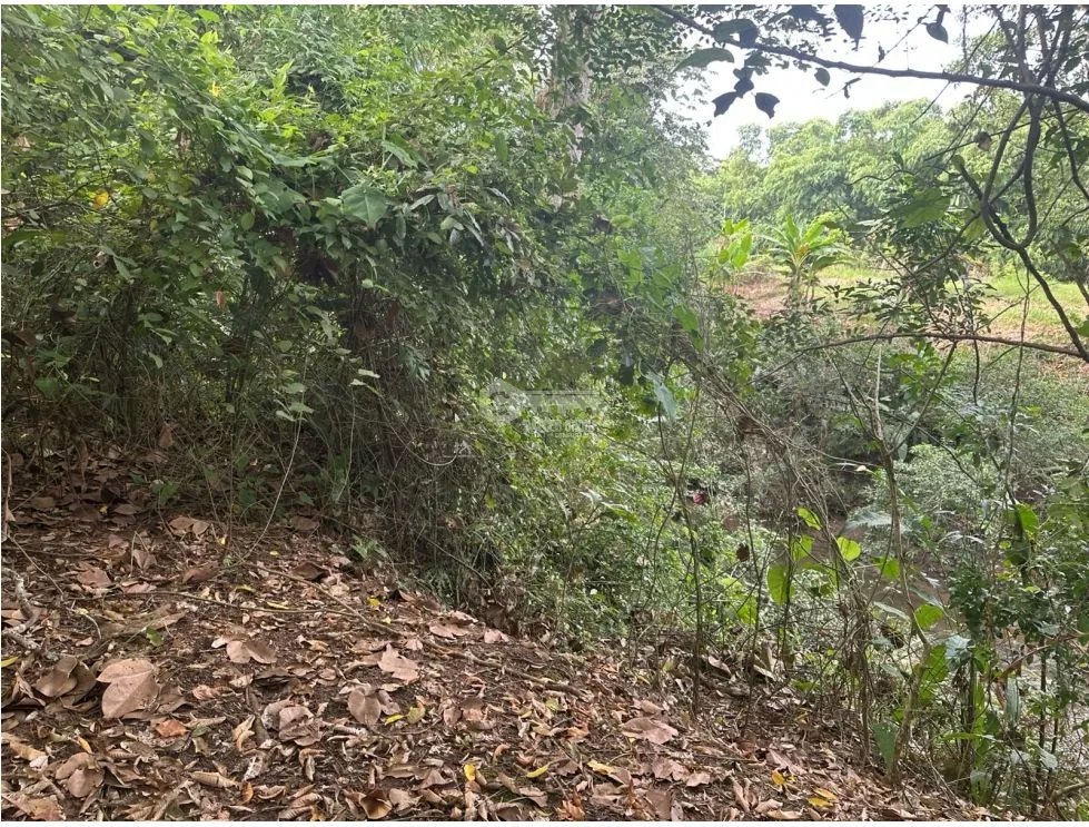 SE VENDE AMPLIO TERRENO EN  PACORA 53,000M SEMIPLANO CON POTENCIAL