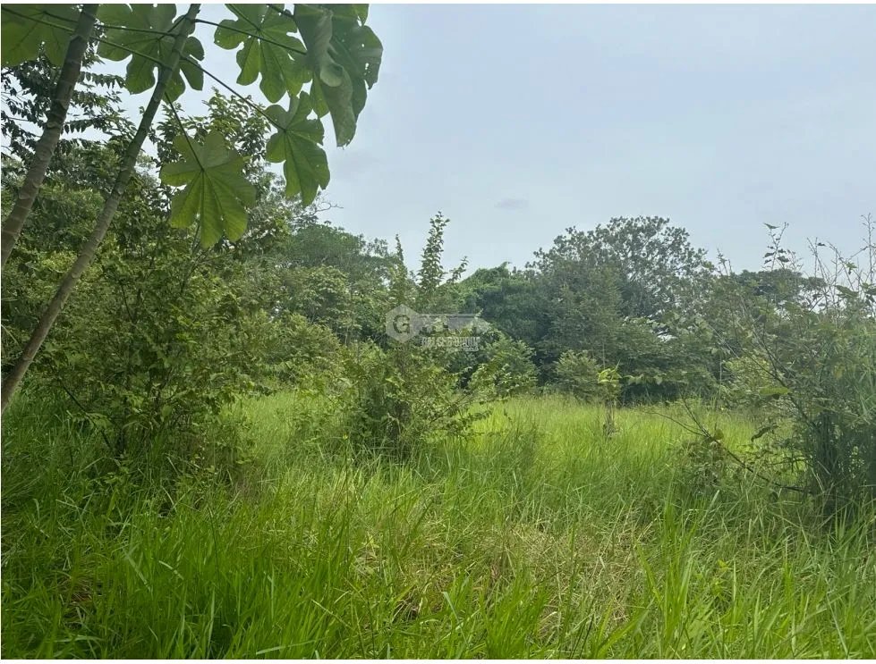 SE VENDE AMPLIO TERRENO EN  PACORA 53,000M SEMIPLANO CON POTENCIAL