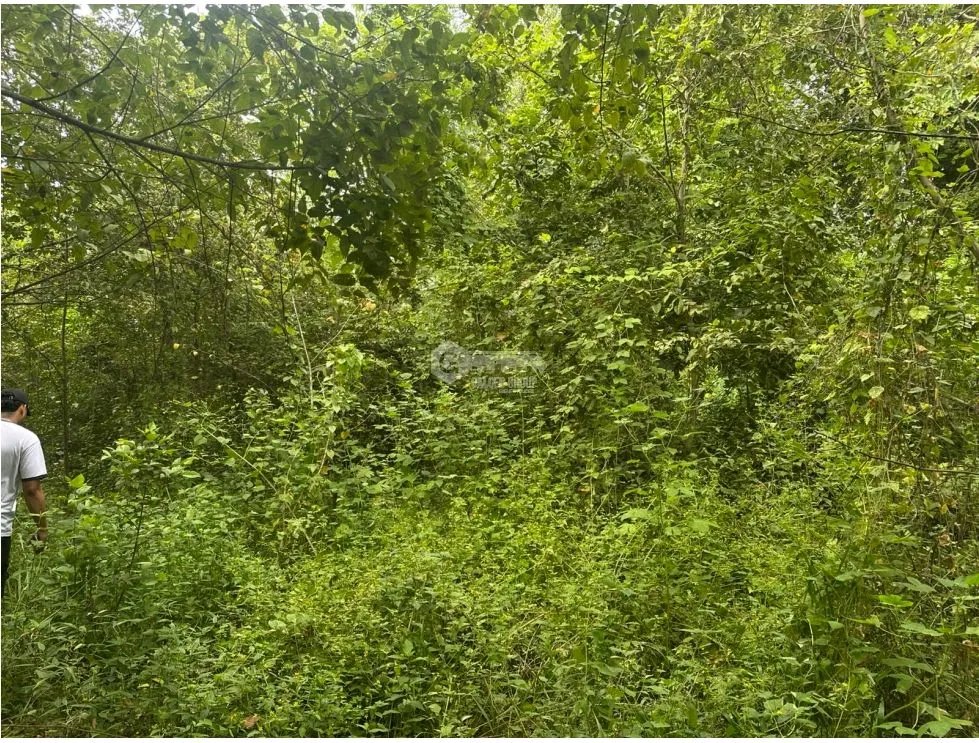 SE VENDE AMPLIO TERRENO EN  PACORA 53,000M SEMIPLANO CON POTENCIAL