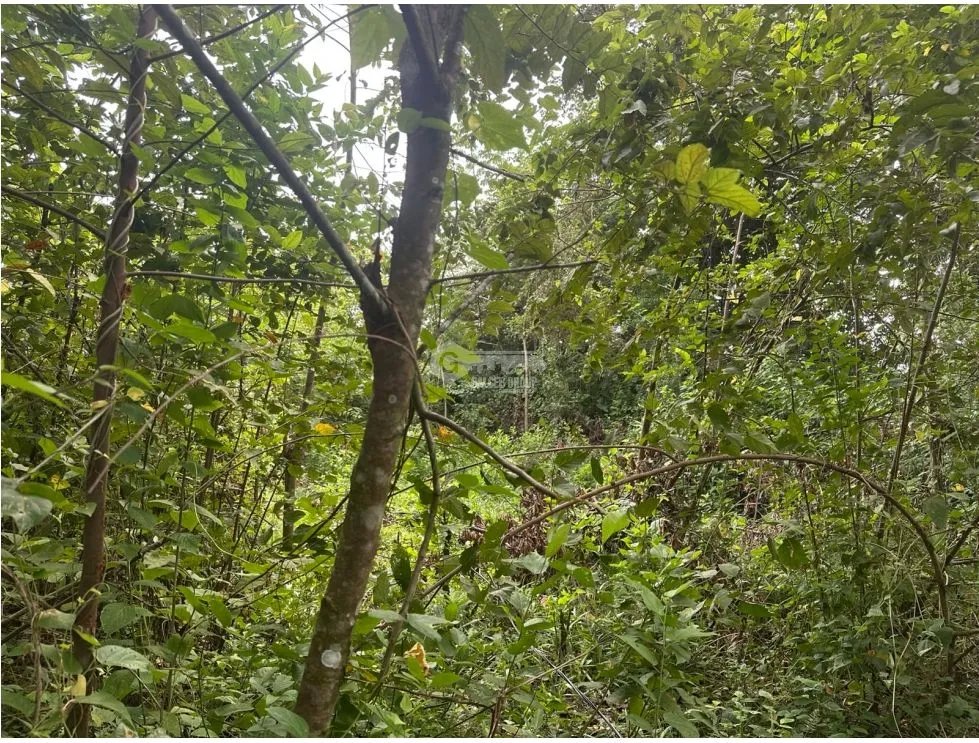 SE VENDE AMPLIO TERRENO EN  PACORA 53,000M SEMIPLANO CON POTENCIAL