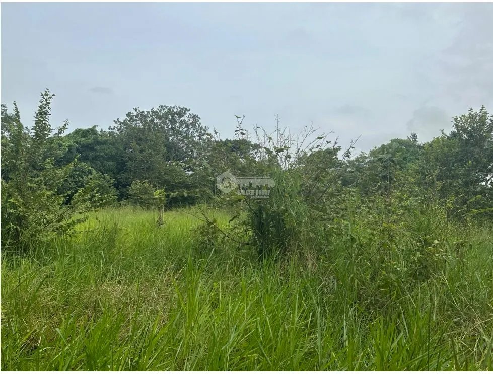 SE VENDE AMPLIO TERRENO EN  PACORA 53,000M SEMIPLANO CON POTENCIAL