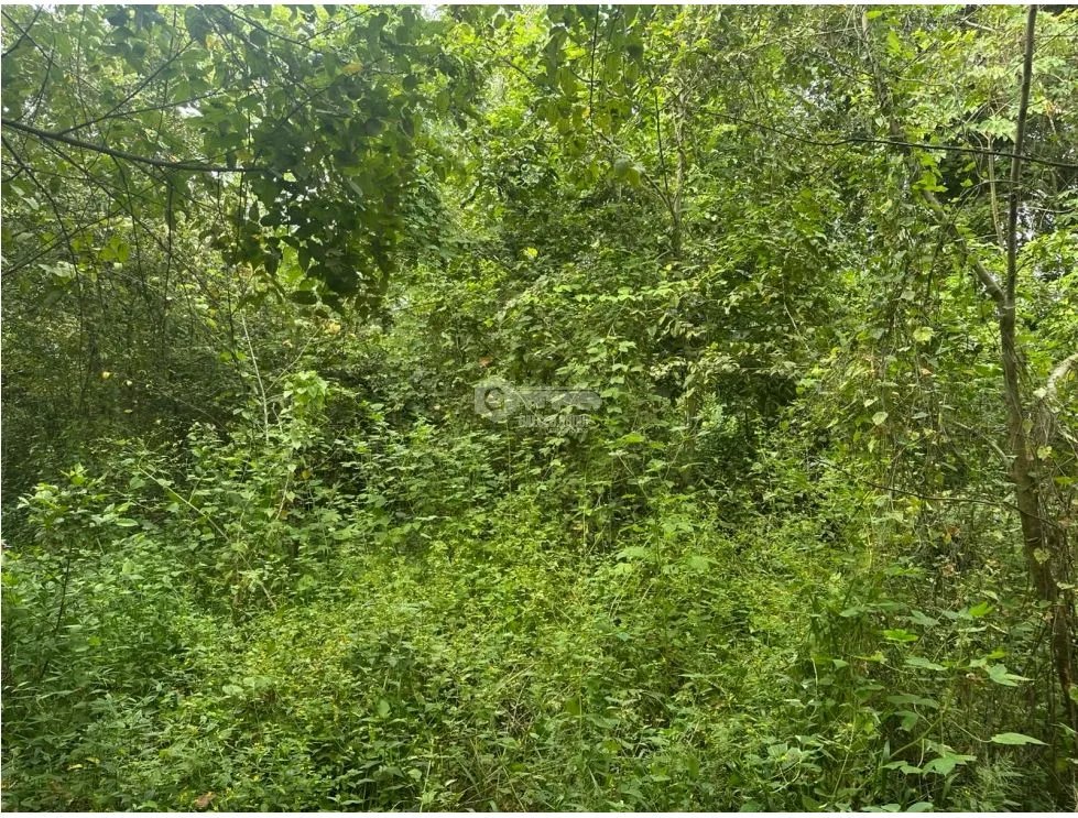 SE VENDE AMPLIO TERRENO EN  PACORA 53,000M SEMIPLANO CON POTENCIAL