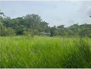 SE VENDE AMPLIO TERRENO EN  PACORA 53,000M SEMIPLANO CON POTENCIAL