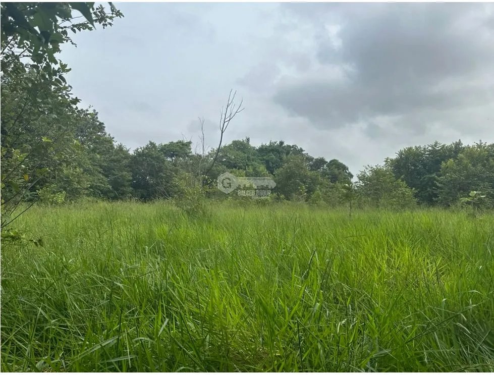 PANAMA ESTE / PACORA / 53,000M / SPACIOUS LOT / SEMI-LEVEL