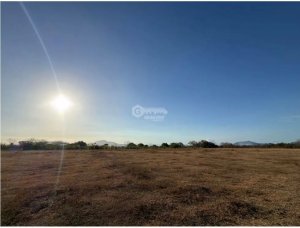 FLAT LAND FOR SALE IN PENONOMÉ 3,538M² ON MAIN ROAD WITH ASP…