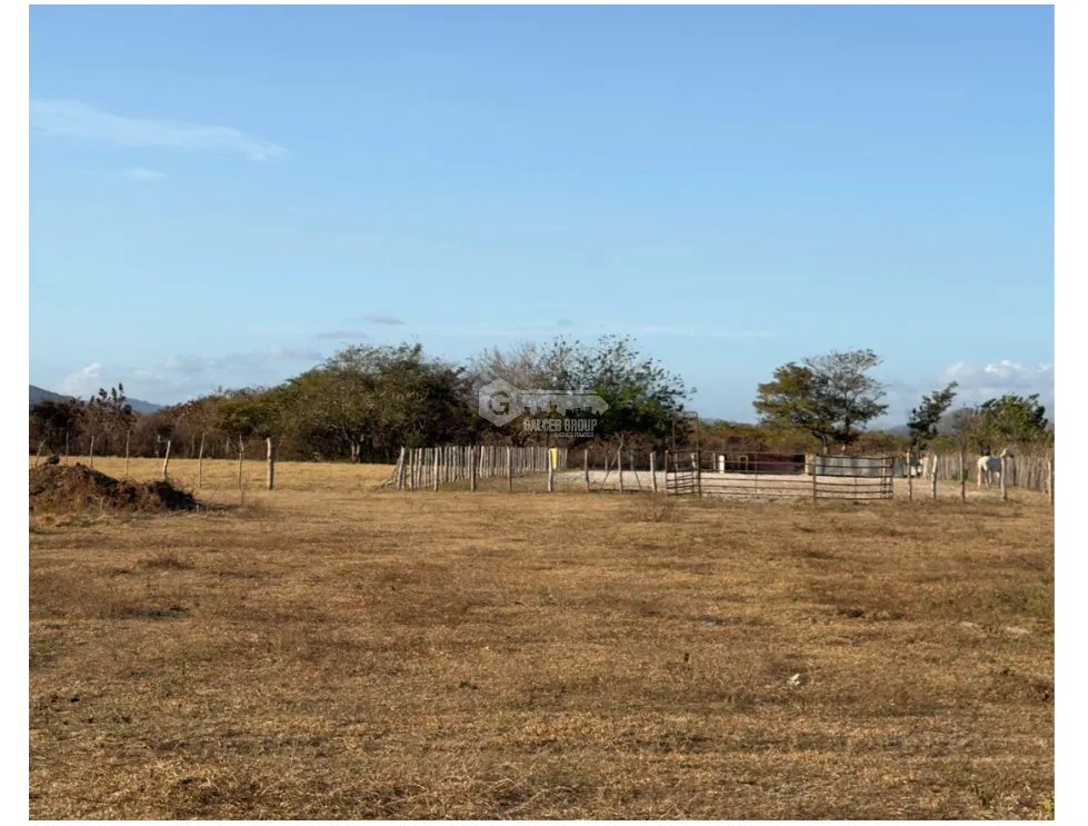 SE VENDE TERRENO PLANO PENONOMÉ 3,538M VIA PRINCIPAL EN  VIA ASFALTADA