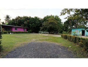 CHAME / LAS LAJAS / 1000 M2 / FLAT LAND / ON PAVED ROAD