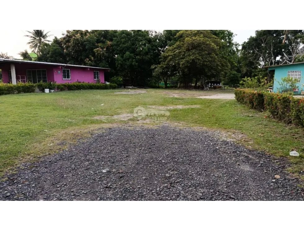 CHAME / LAS LAJAS / 1000 M2 / FLAT LAND / ON PAVED ROAD