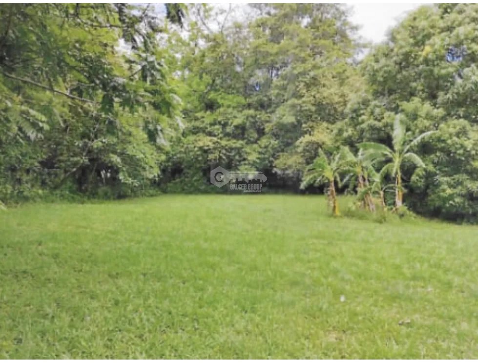 SE VENDE TERRENO EN CHAME BEJUCO 1572 M2  PLANO CON ZONAS VERDES