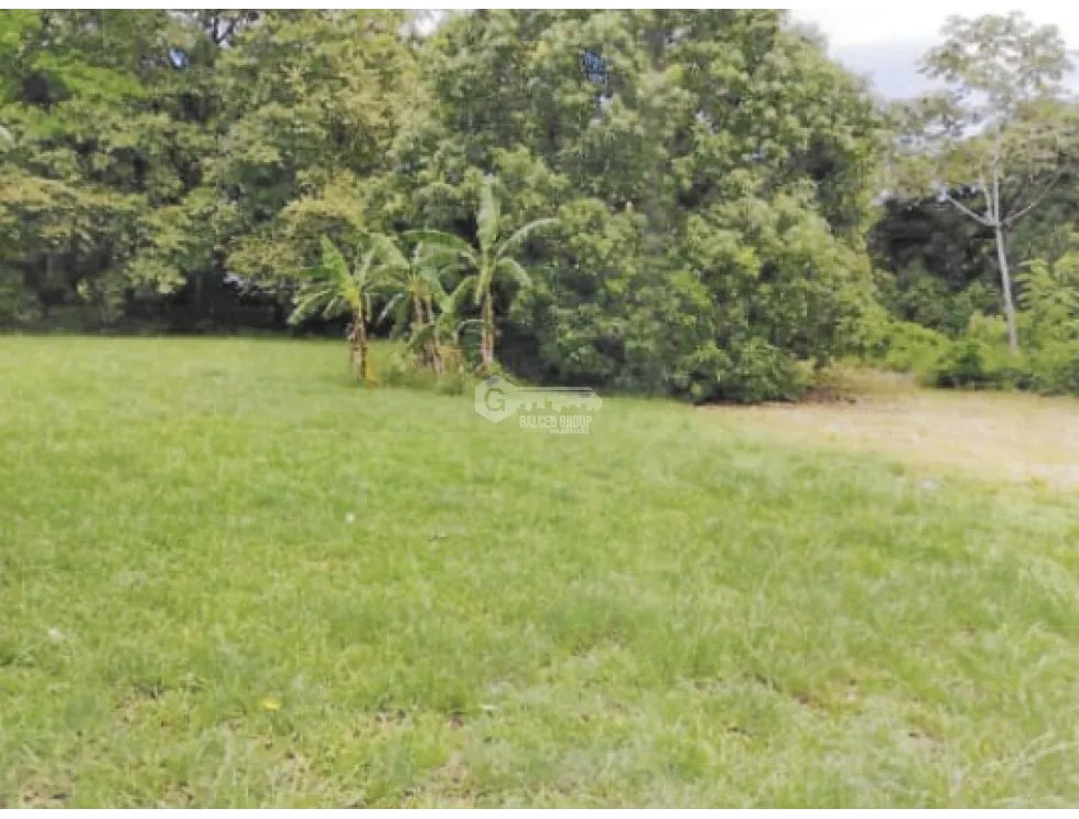 SE VENDE TERRENO EN CHAME BEJUCO 1572 M2  PLANO CON ZONAS VERDES