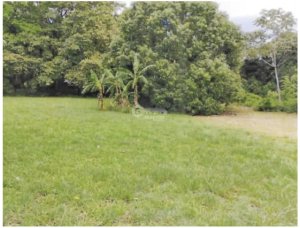 CHAME / BEJUCO / 1572 M2 / TERRENO PLANO / ZONAS VERDES / AMPLIO