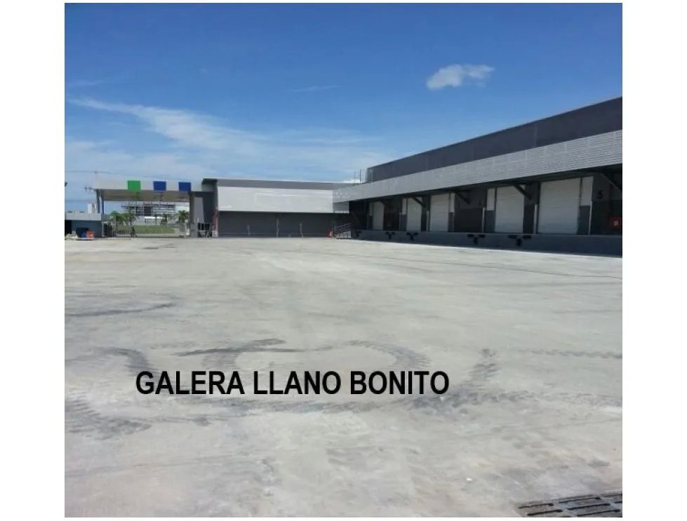 Bodega de 550 m2 en Llano Bonito en Alquiler