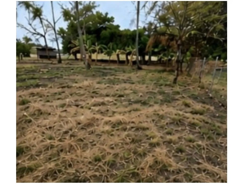Venta de Terreno | Coloncito Chame