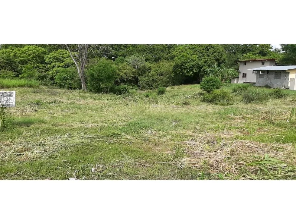 Sale of Titled Land in San Carlos El Arenal