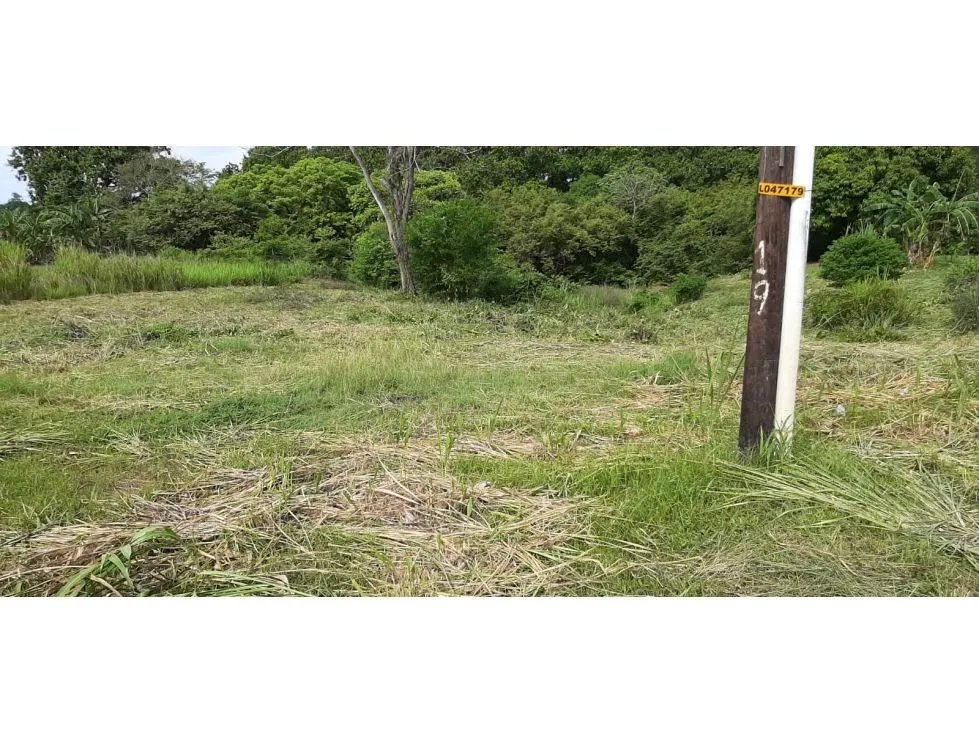Sale of Titled Land in San Carlos El Arenal