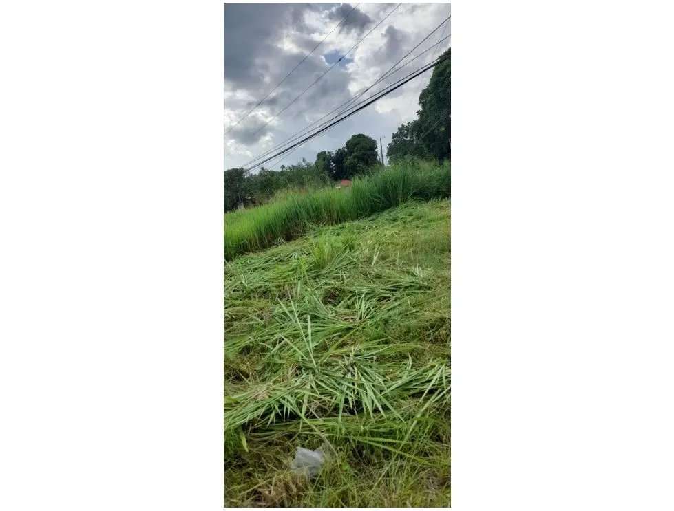 Sale of Titled Land in San Carlos El Arenal