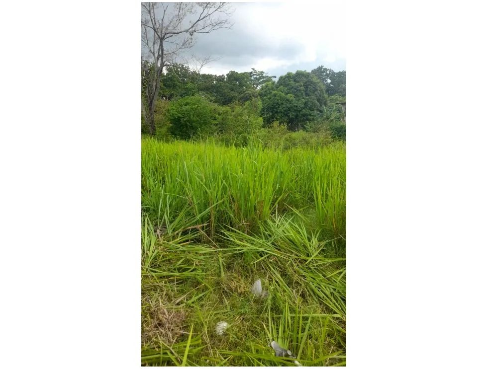Sale of Titled Land in San Carlos El Arenal