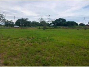 Sale of Titled Land in San Carlos El Arenal