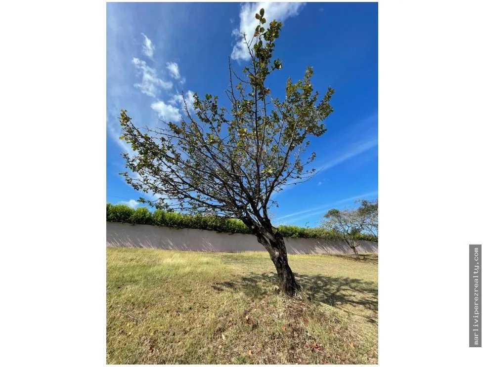 Venta de Terreno en Chame