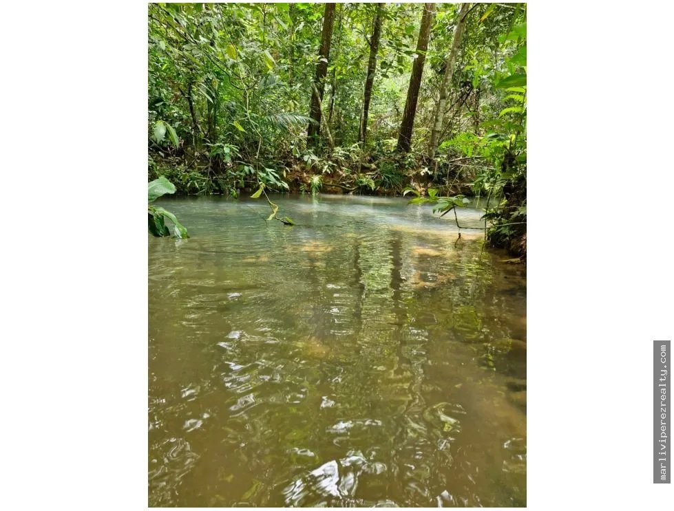 Venta de Terreno en Penonome