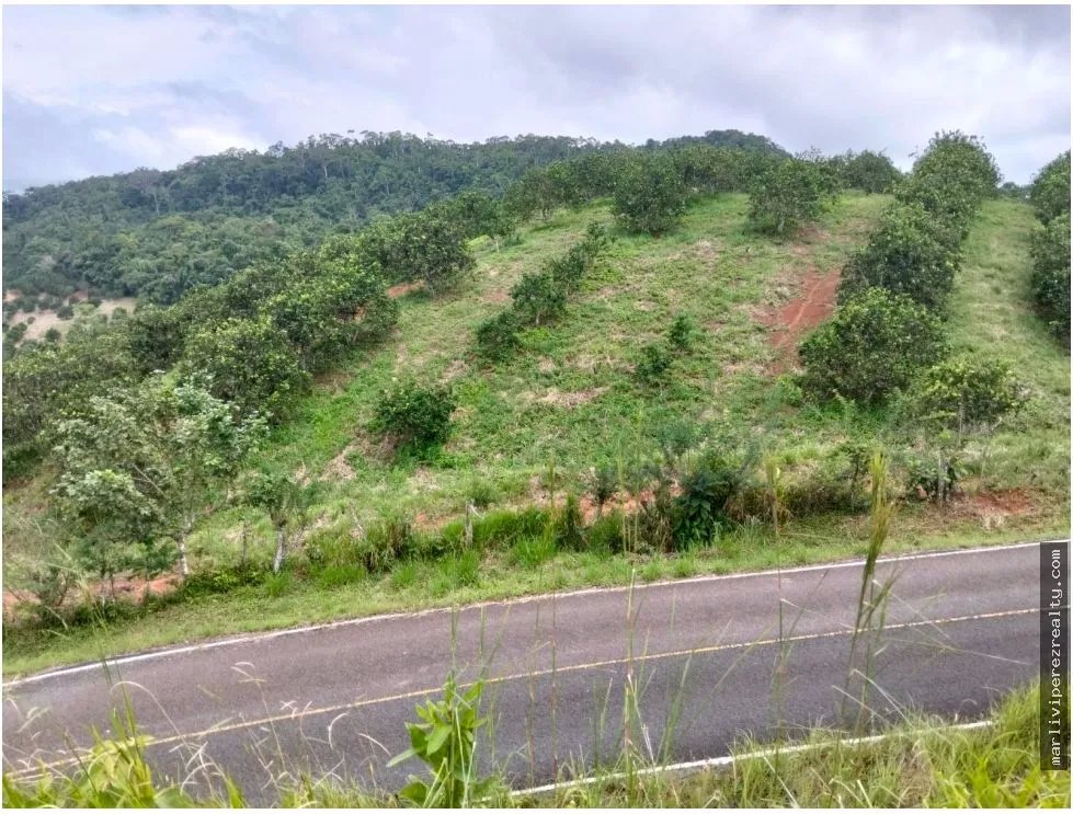 Venta de Terreno en Penonome