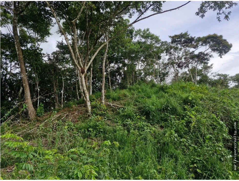 Venta de Terreno en Penonome
