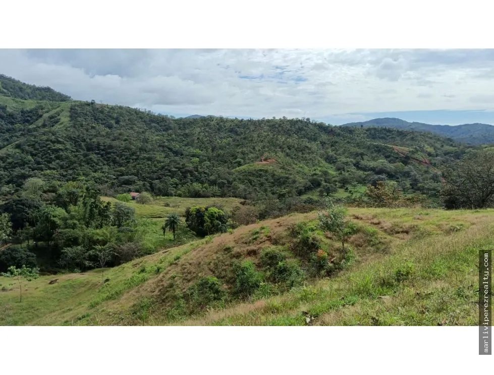Building Lot for sale in Mariato