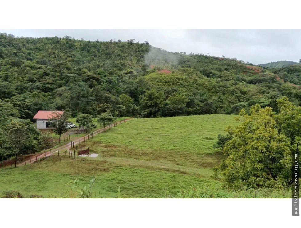 Building Lot for sale in Mariato