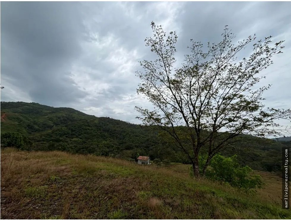 Building Lot for sale in Mariato