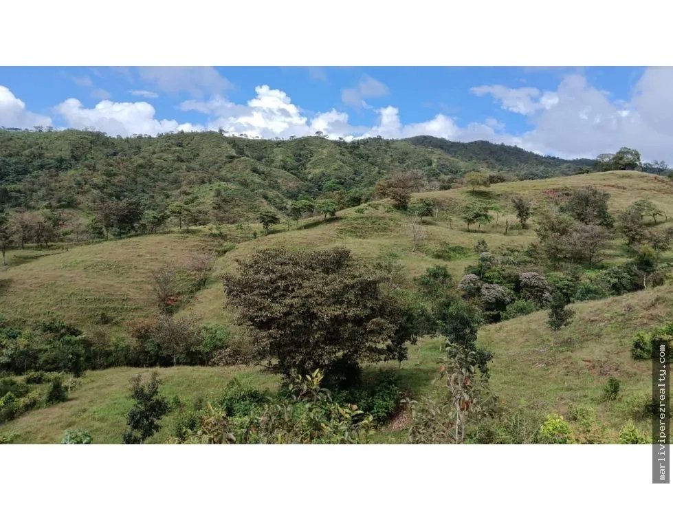 Building Lot for sale in Mariato